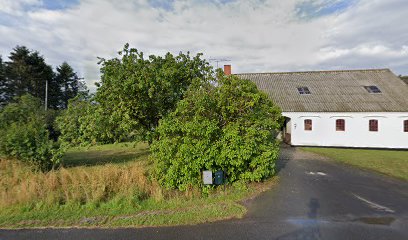 Kongstubbe