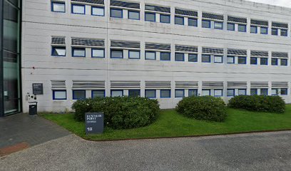 Malermester Tot