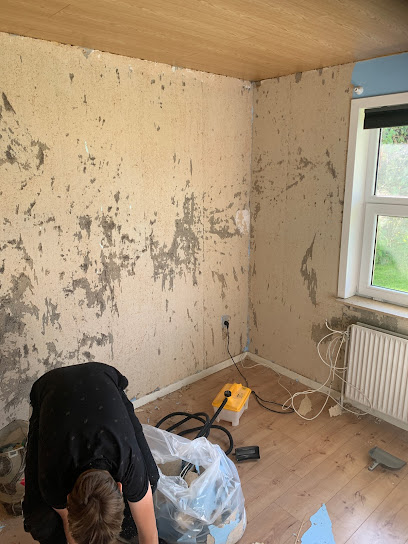 RM Rensning Og Maling – Tagmaling og tagrensning